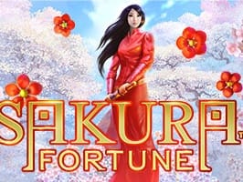 Sakura Fortune game cover