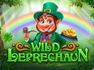 Wild Leprechaun game cover