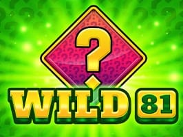 Wild 81 game cover